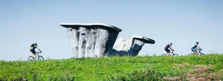 Hoge Bergse Bos Hoge Bergse Bos